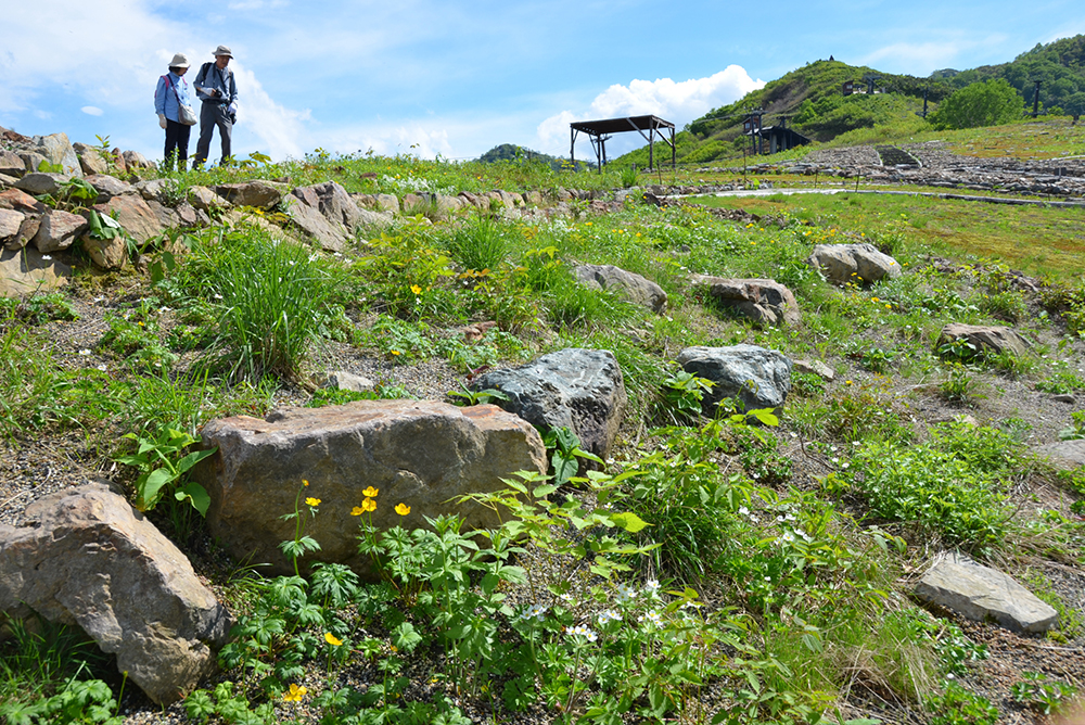 白馬連峰高山植物生態園