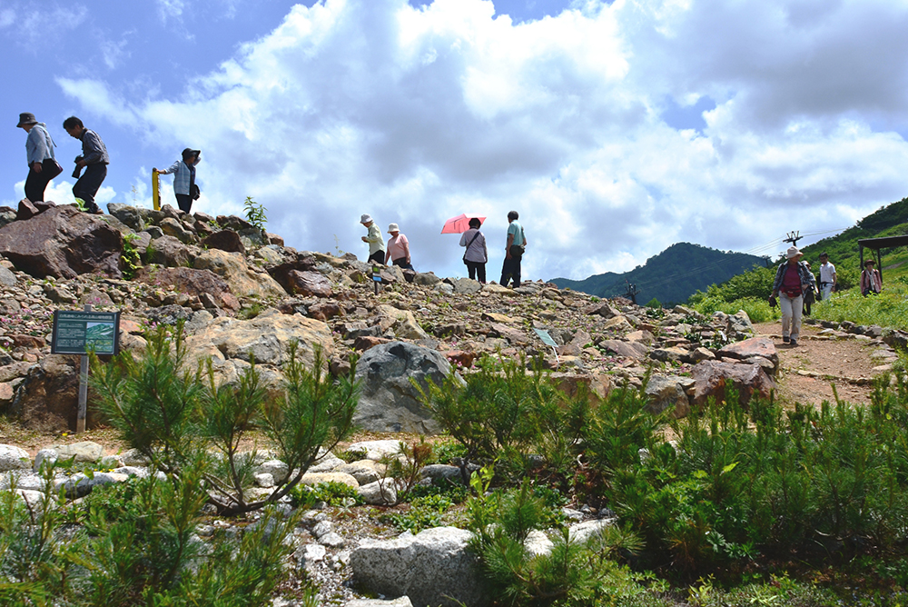 白馬連峰高山植物生態園