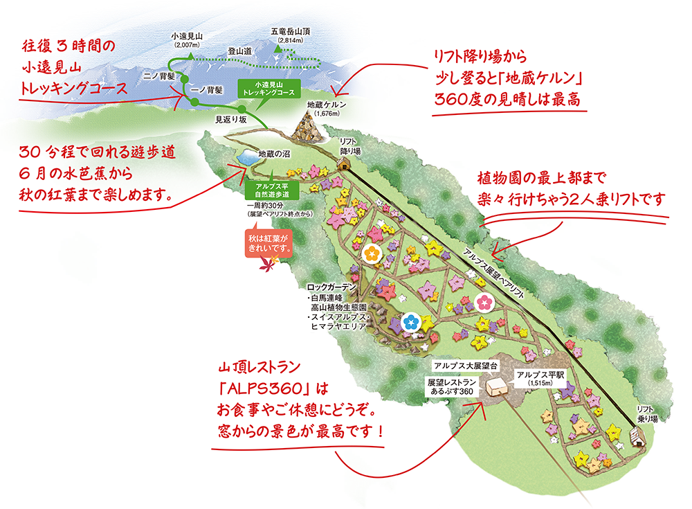 植物園マップ