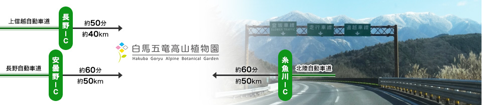 マイカーでの所用時間