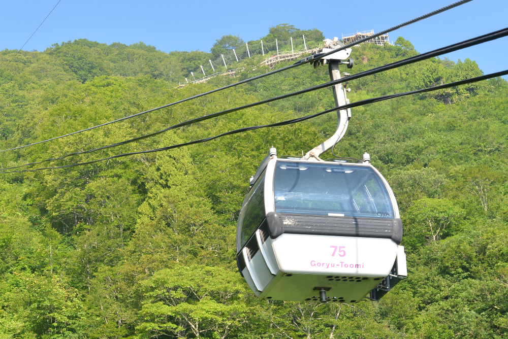 ゴンドラ リフト 白馬五竜高山植物園