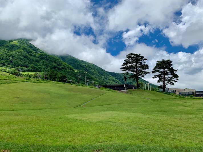 通常サイト全景