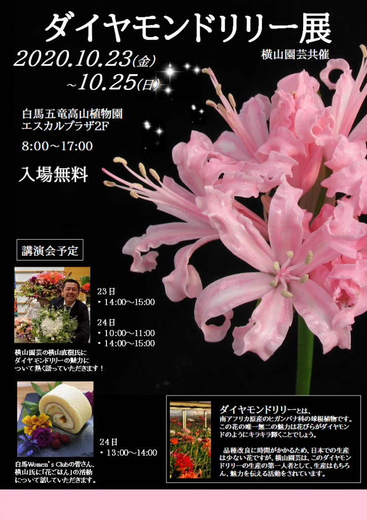 [終了]　ダイヤモンドリリー展　10月23日(金)～10月25日(日)　
