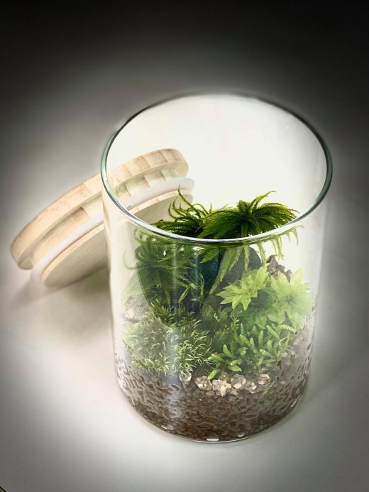 [終了]　苔の専門家、大野好弘さんと「苔テラリウム」を作ろう！
