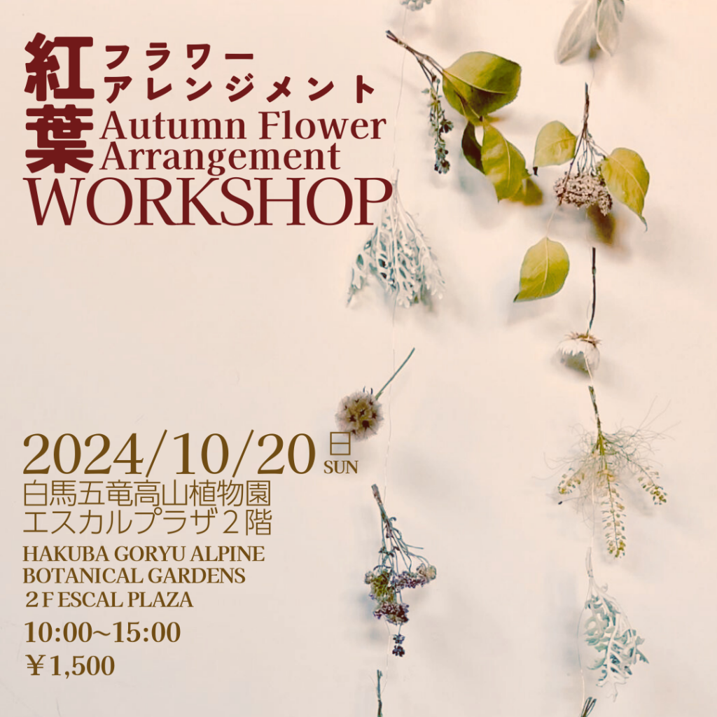 2024/10/20(日・SUN) 紅葉フラワーモビールアレンジメントワークショップ💐Autumn Foliage and Flower Arrangement Workshop