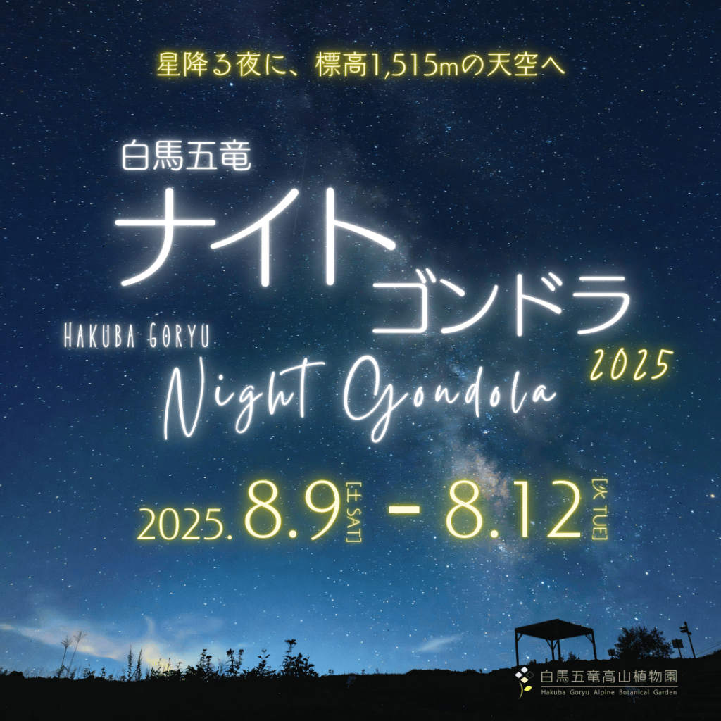 ナイトゴンドラ Night Gondola