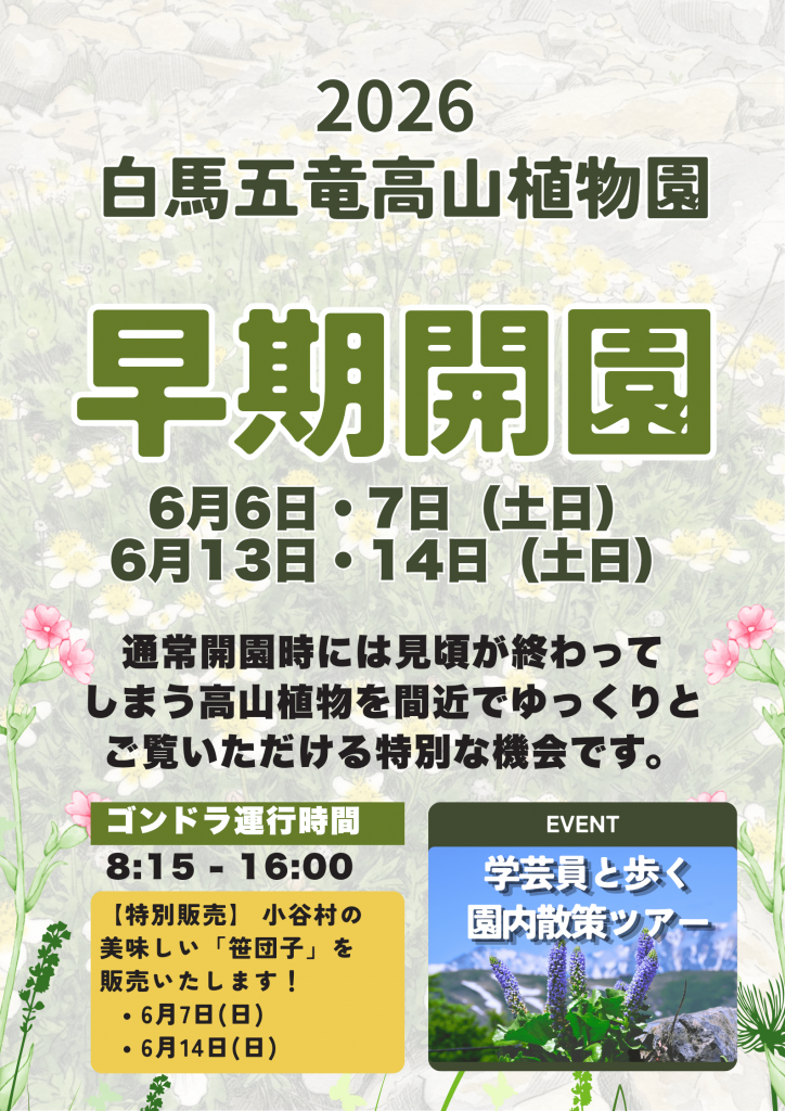 早期開園2026