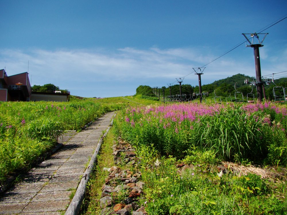 2016年7月13日号