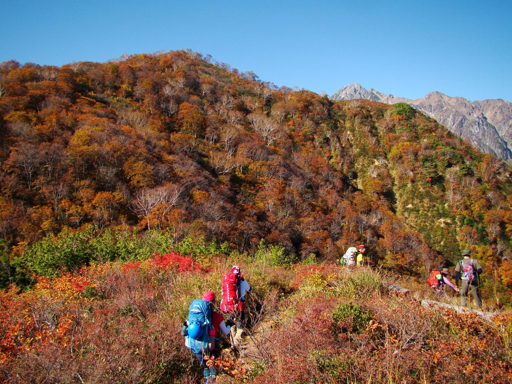 【紅葉情報】地蔵のケルン周辺