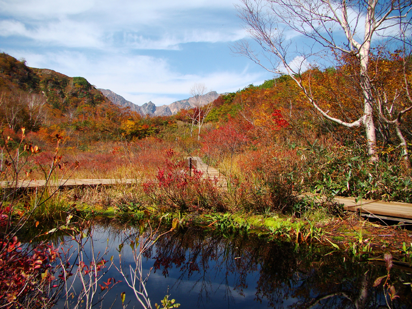 ＆紅葉便り2016年10月12日号