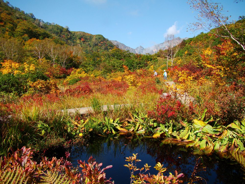 ＆紅葉便り2017年9月27日号