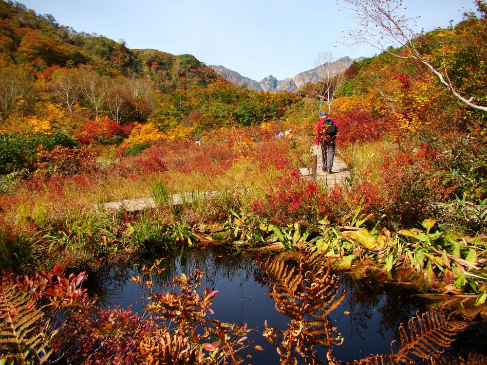 ＆紅葉便り2017年10月4日号