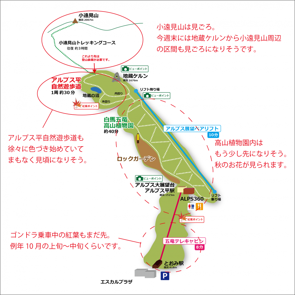 2018年9月26日 紅葉情報号