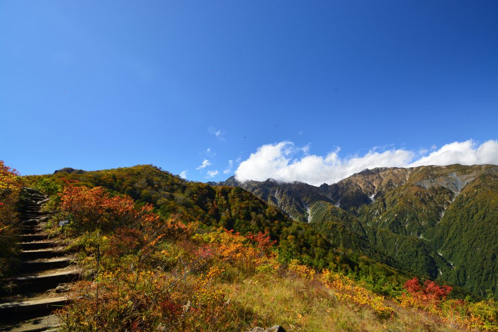 2018年10月3日 紅葉情報号