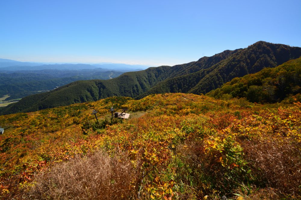 2018年10月3日 紅葉情報号