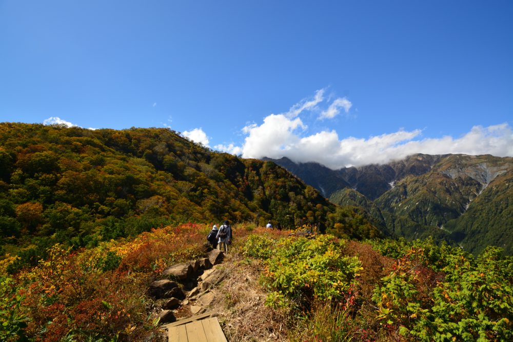 2018年10月3日 紅葉情報号