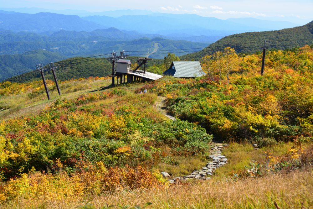 2018年10月3日 紅葉情報号