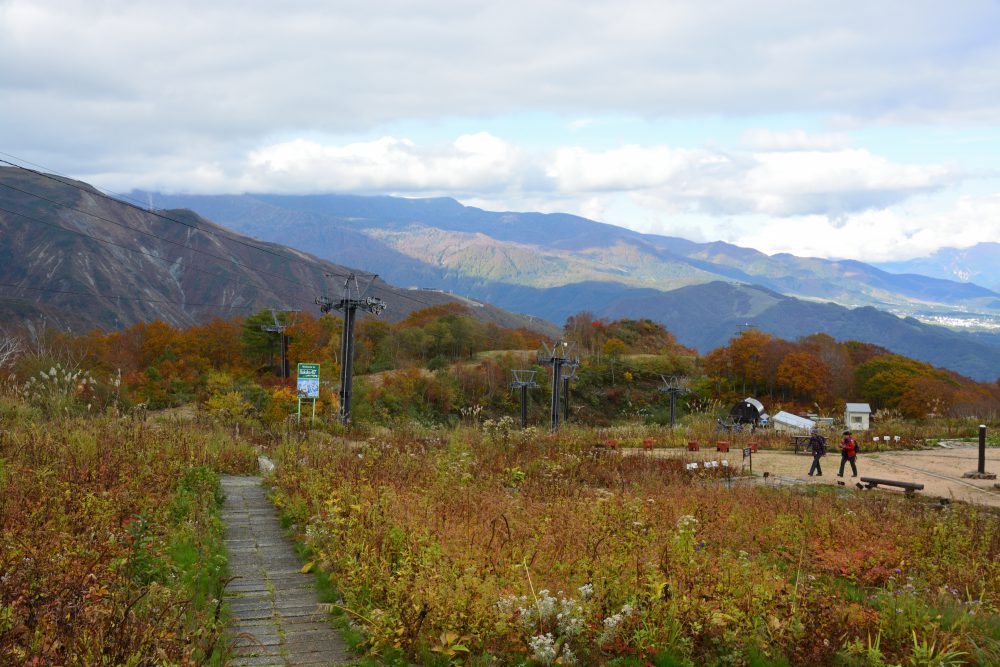 2018年10月17日 紅葉情報号