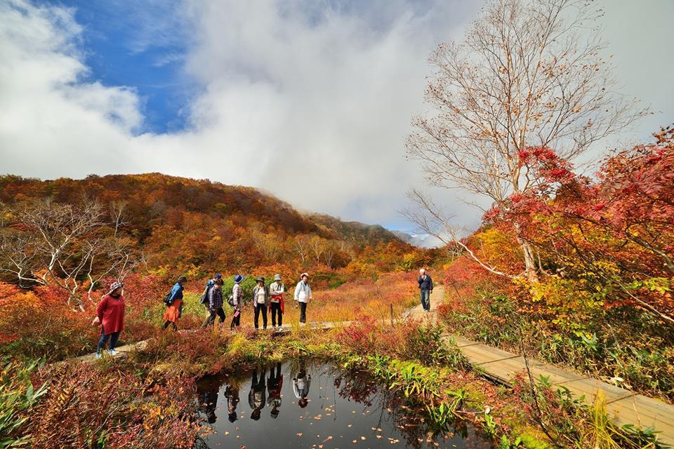 2018年10月9日 紅葉情報号