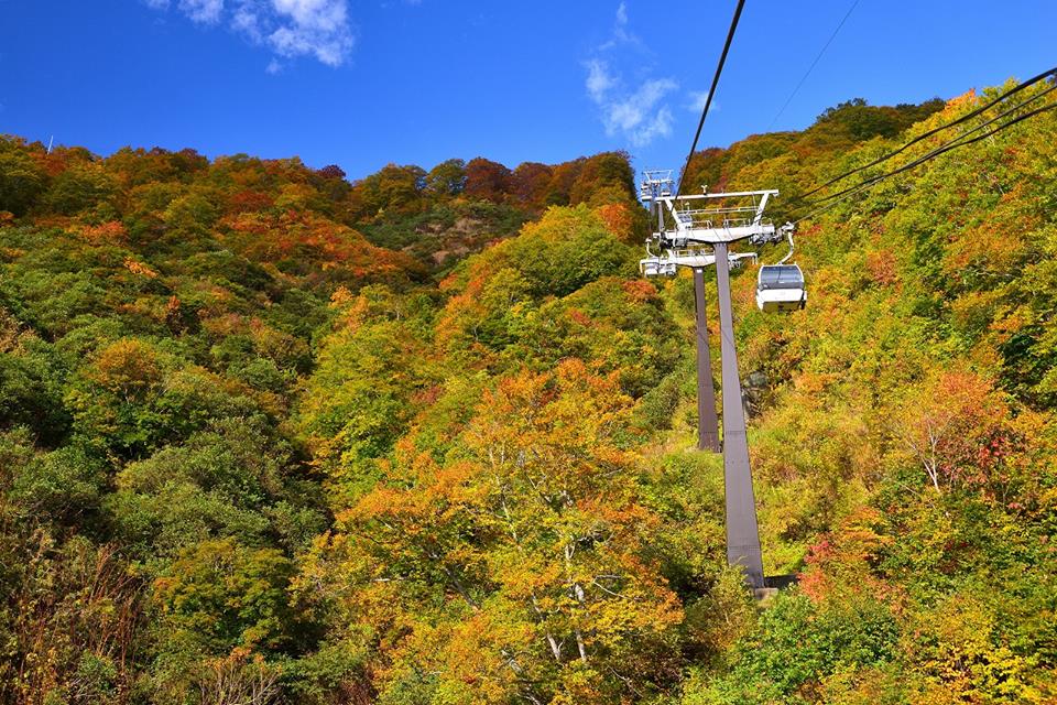 2018年10月9日 紅葉情報号