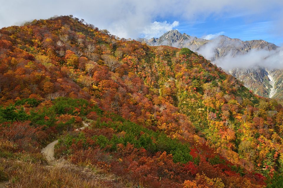 2018年10月9日 紅葉情報号