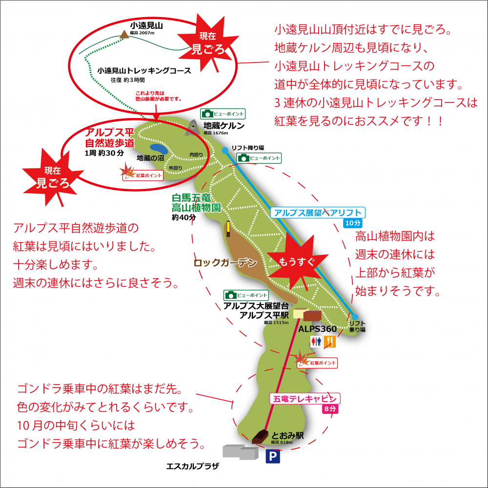 2018年10月3日 紅葉情報号