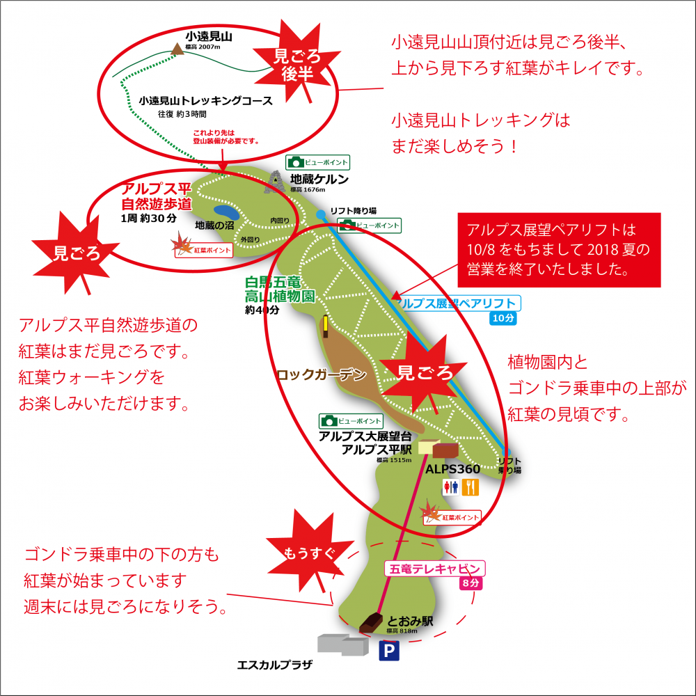 2018年10月9日 紅葉情報号