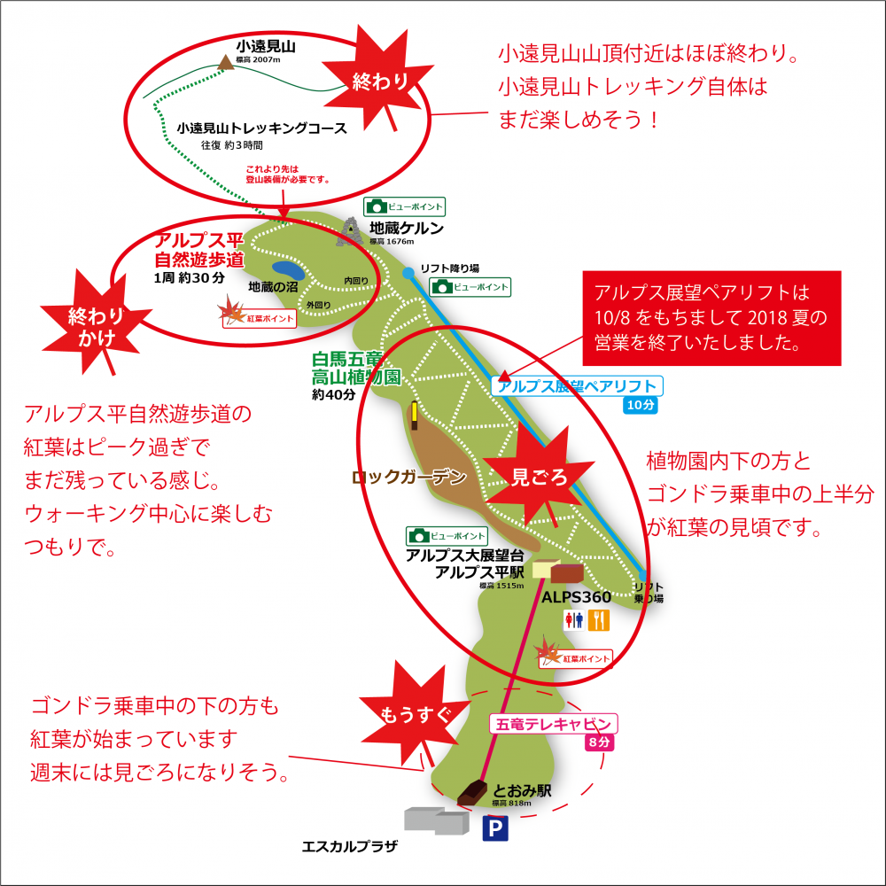 2018年10月17日 紅葉情報号