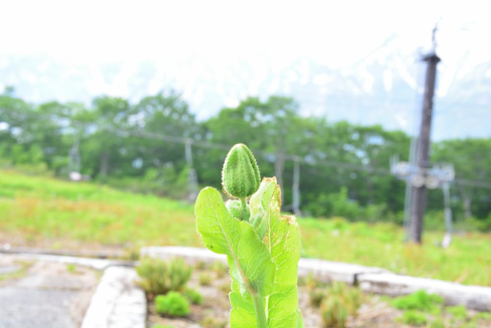 2019年6月19日号