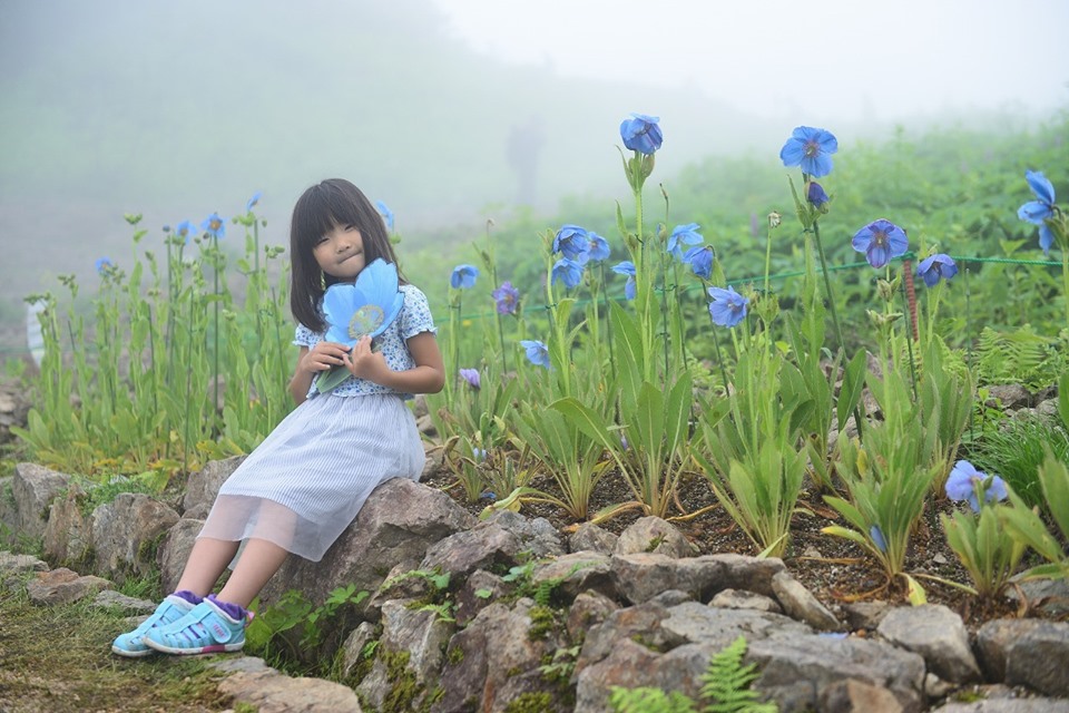 2019年7月10日号