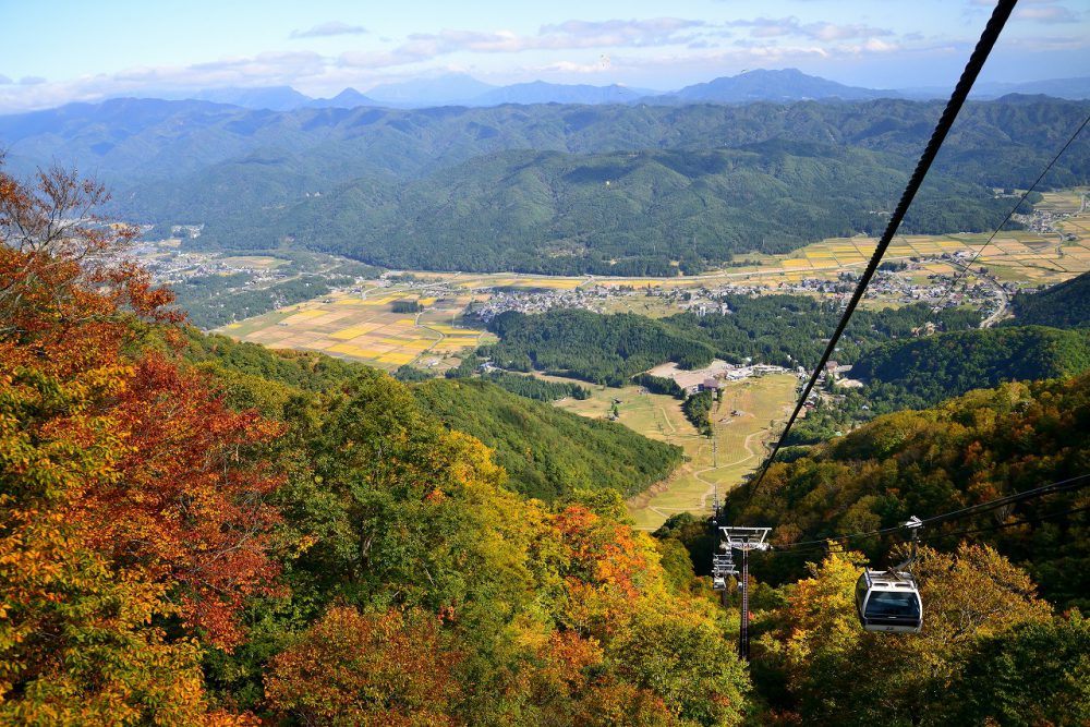 2019年10月16日 紅葉情報号