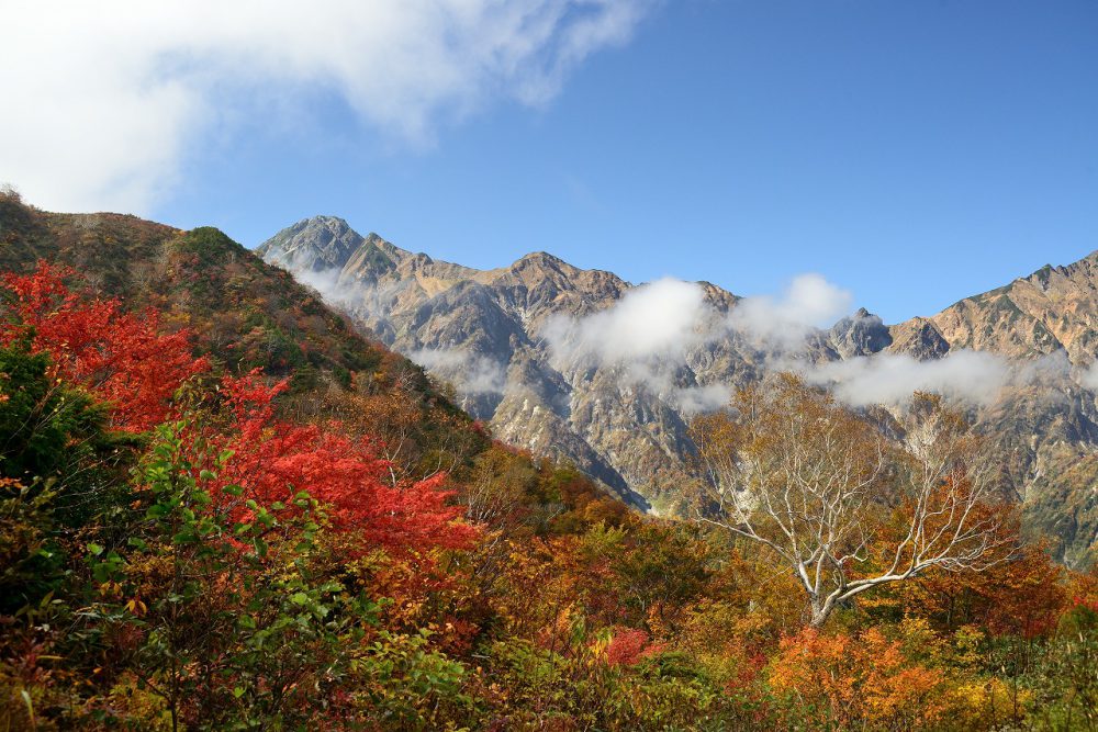 2019年10月16日 紅葉情報号