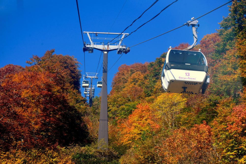 2020年10月14日 紅葉情報号