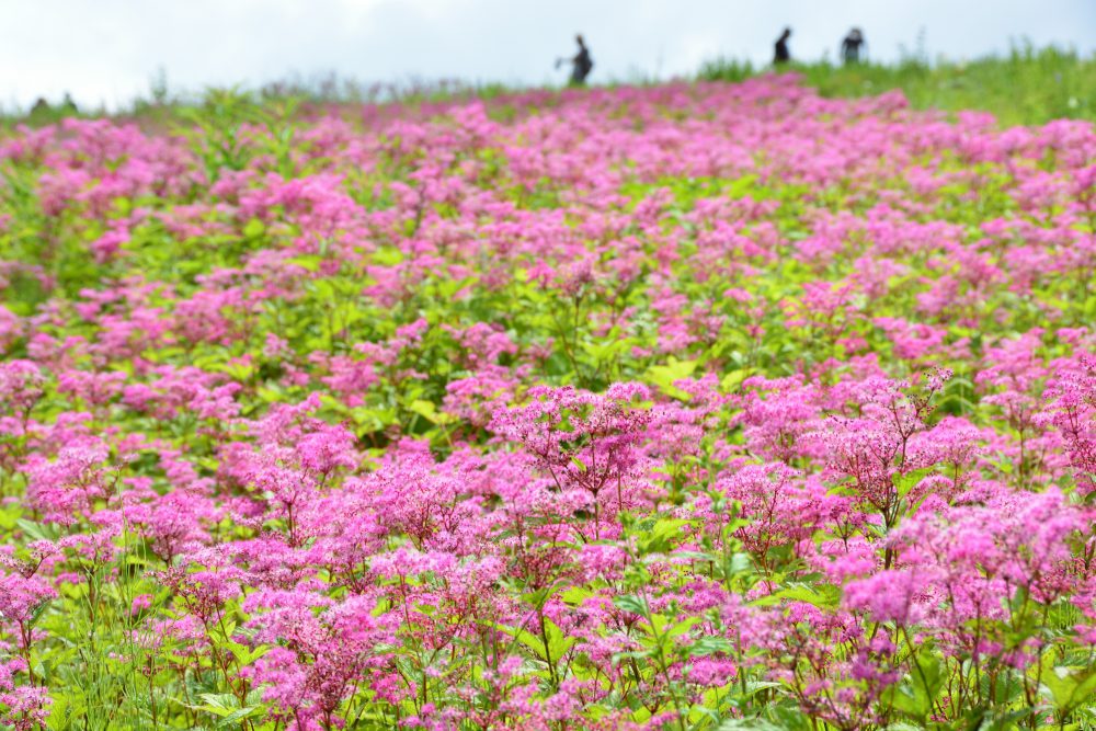 2021年8月4日 お盆休みを満喫号