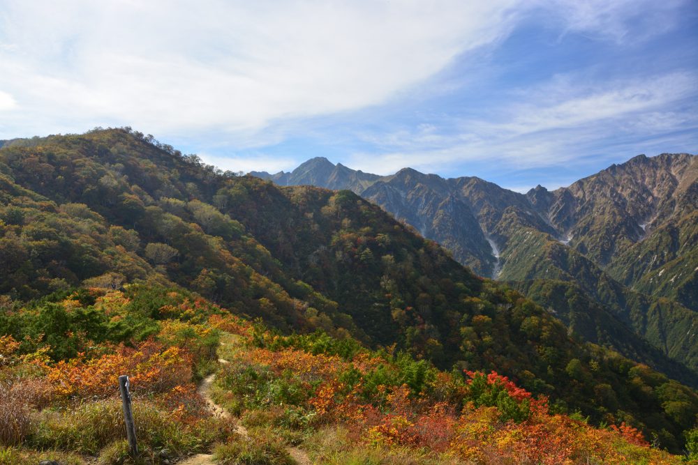 2021年10月6日 紅葉情報号