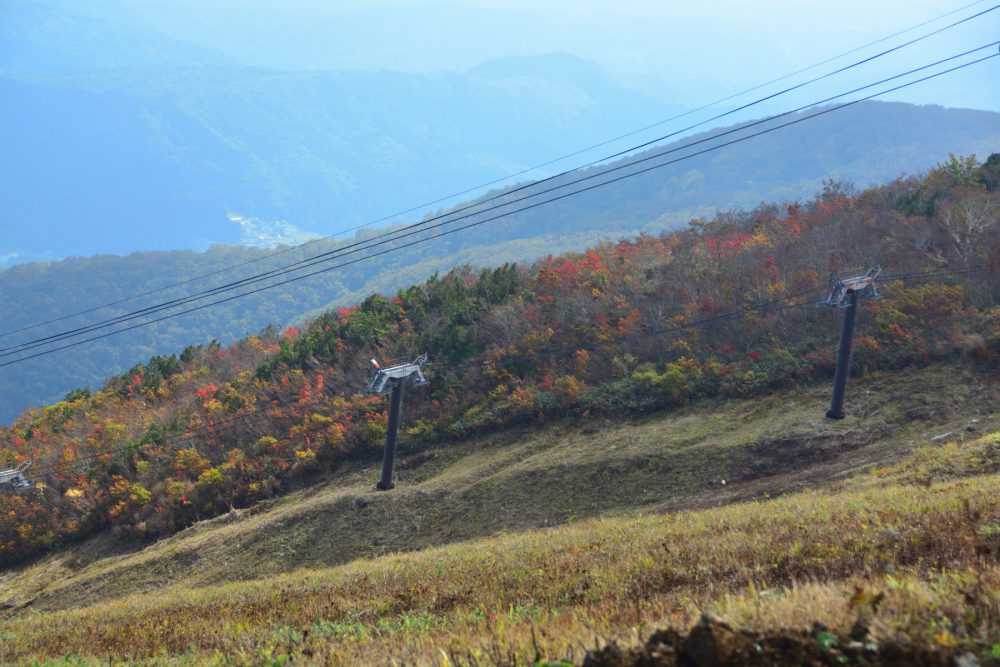 2021年10月15日 週末の紅葉情報号