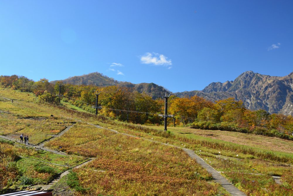 2021年10月15日 週末の紅葉情報号