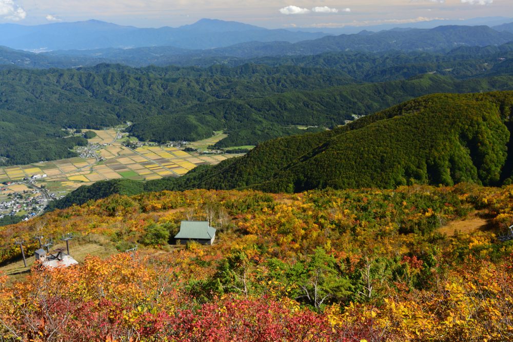 2022年10月13日 紅葉情報号