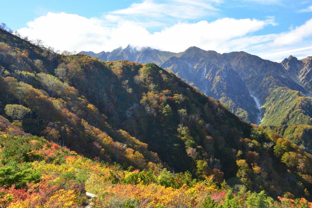 2022年10月13日 紅葉情報号