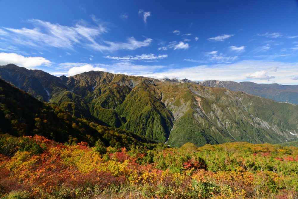 2022年10月13日 紅葉情報号