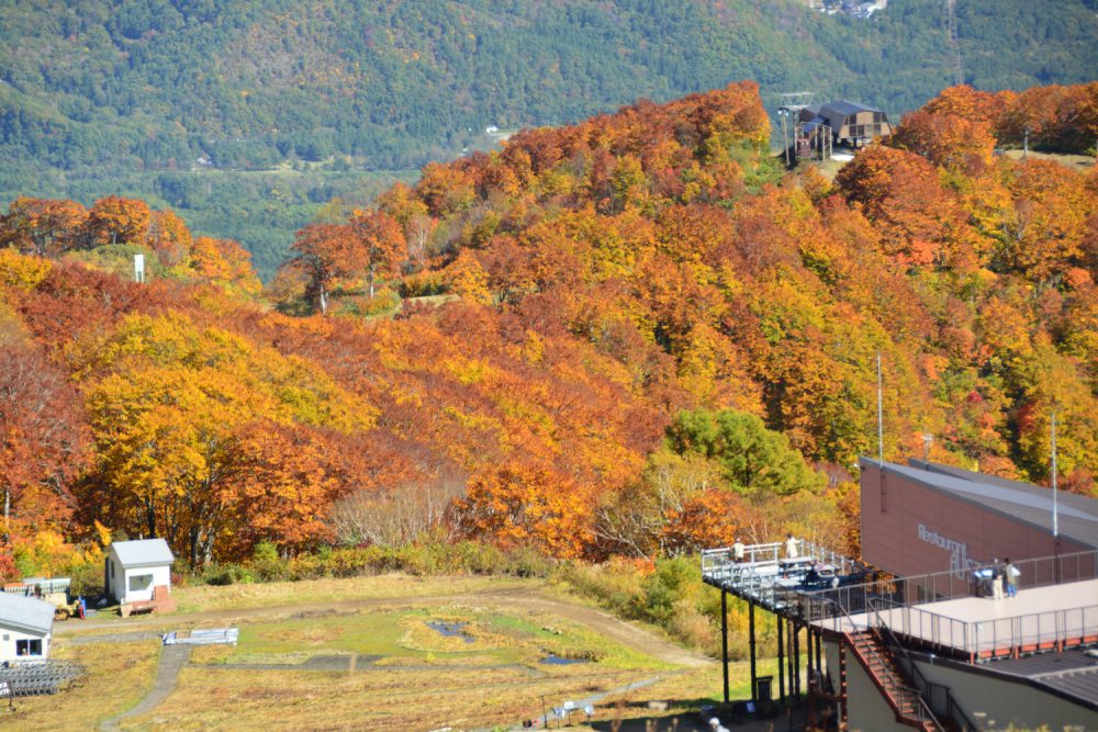 2022年10月20日 紅葉情報号 (終)