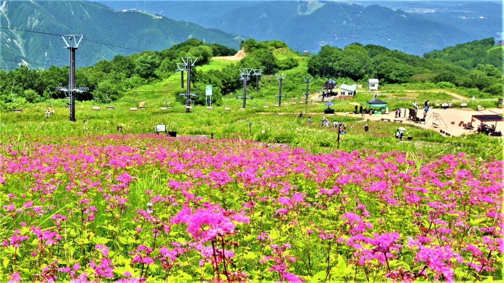 9号　2023年7月28日　