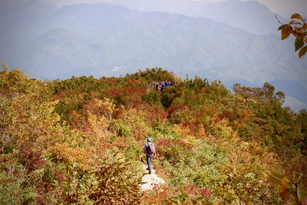 20号　2023年10月13日　紅葉情報