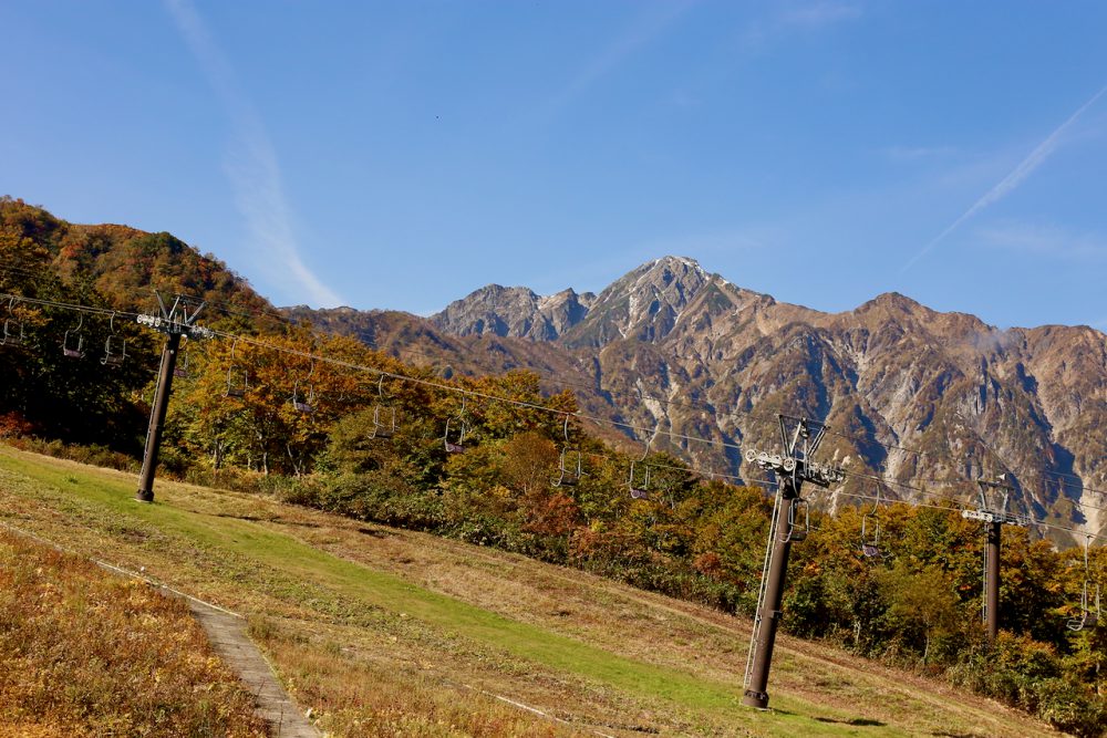 20号　2023年10月13日　紅葉情報