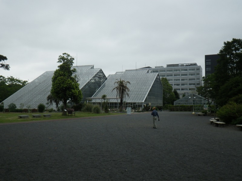 国立科学博物館筑波実験植物園 行ってきました 緑の調律日誌 白馬五竜高山植物園