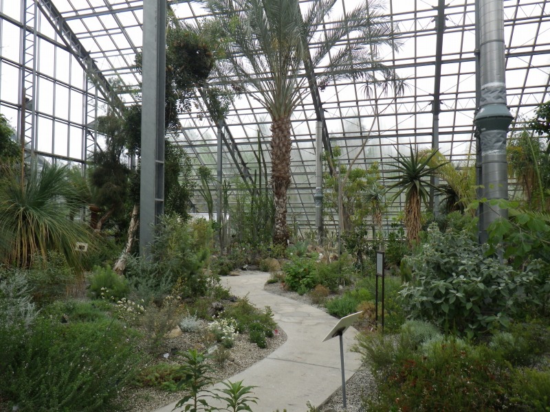国立科学博物館筑波実験植物園 行ってきました 緑の調律日誌 白馬五竜高山植物園