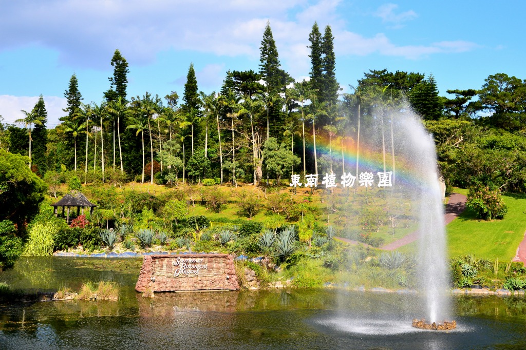 沖縄へ植物研修へ行ってきました 東南植物楽園 緑の調律日誌 白馬五竜高山植物園