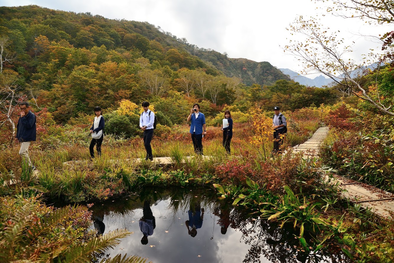 白馬の良いところ 日本植物園協会の視察でお伝えしました 緑の調律日誌 白馬五竜高山植物園