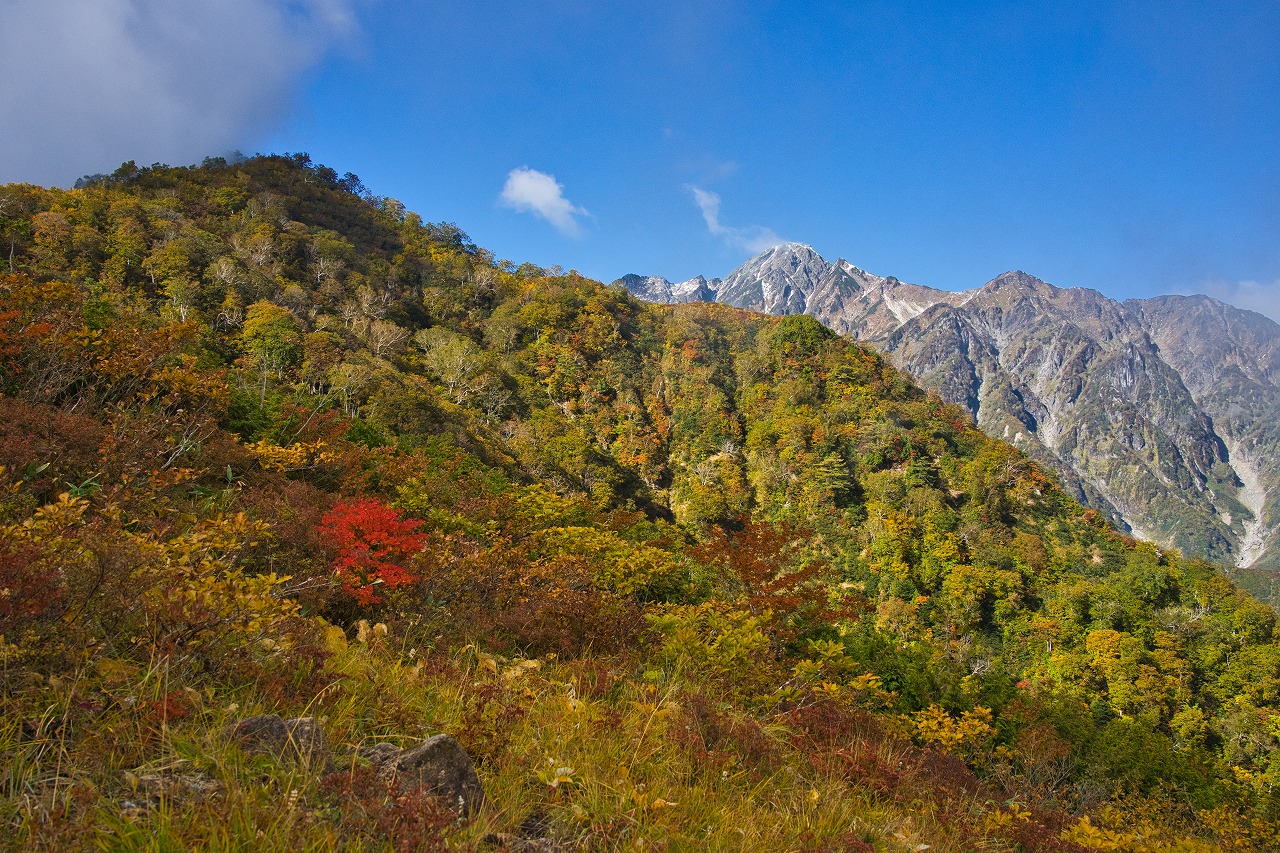 全体が紅葉見ごろです！