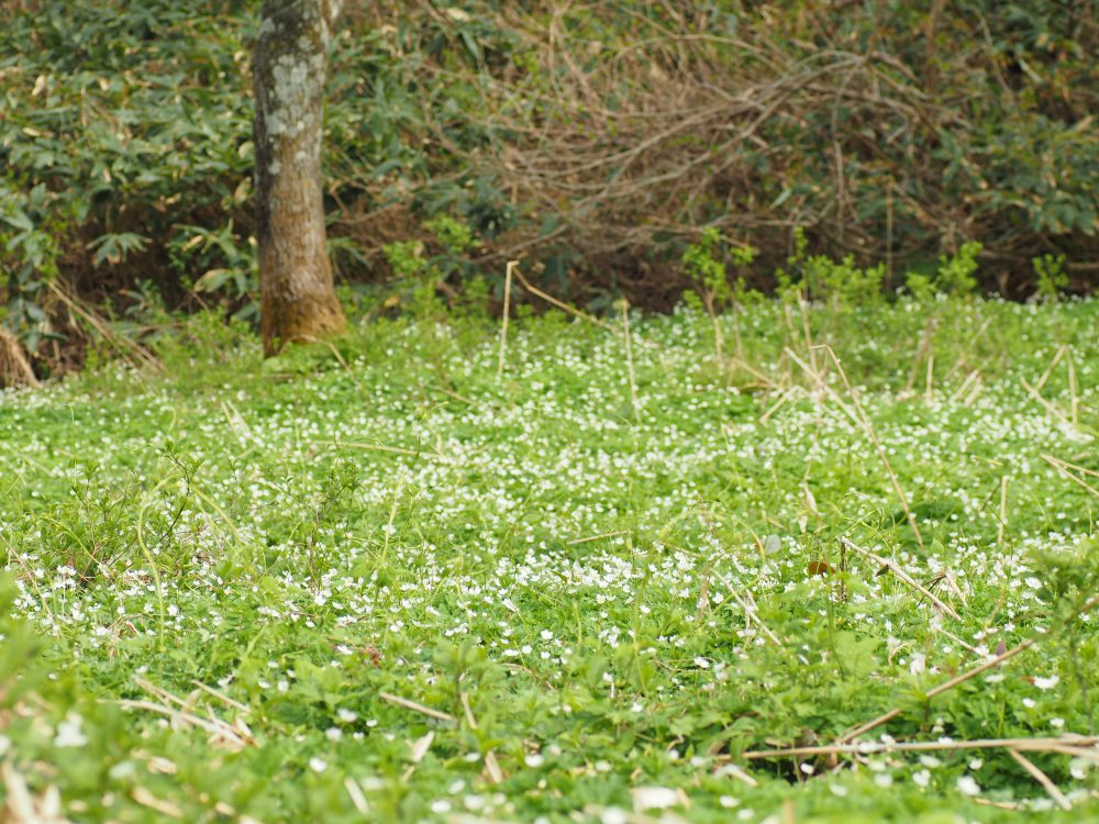 P5031242